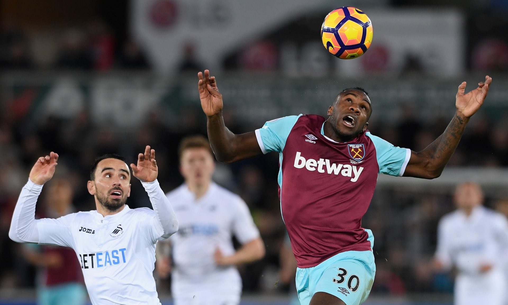 的俱乐部带 的俱乐部带